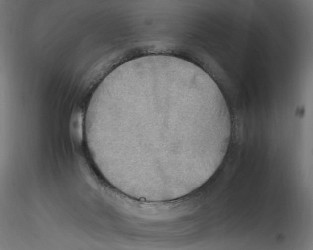 X0000116460022201001061048