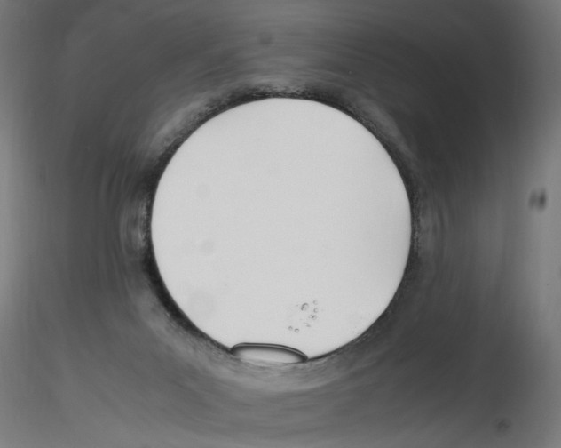 X0000116460023201001061047