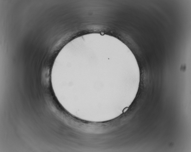 X0000116460024201001061047