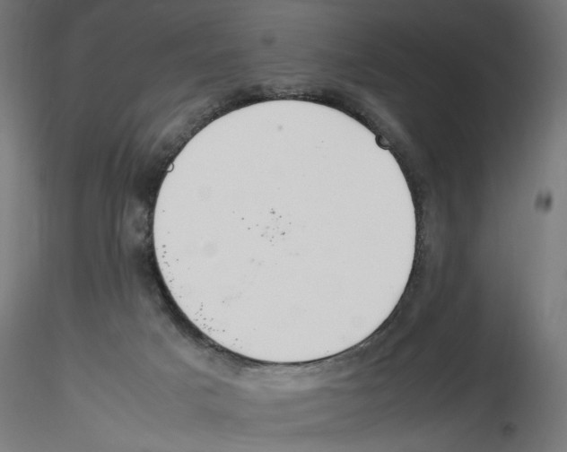 X0000116460025201001061047
