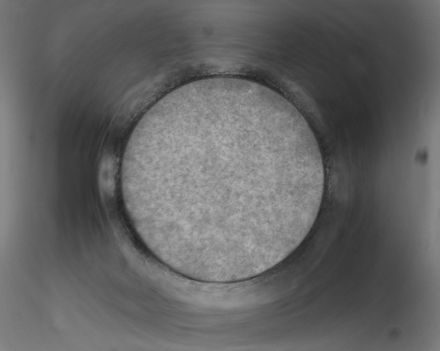 X0000116460026201001061047