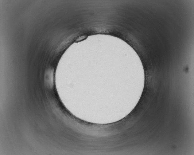 X0000116460028201001061047