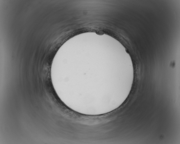 X0000116460029201001061047