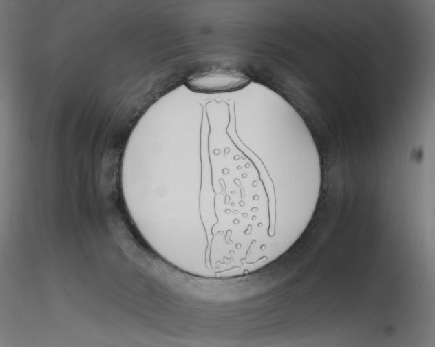 X0000116460030201001061047