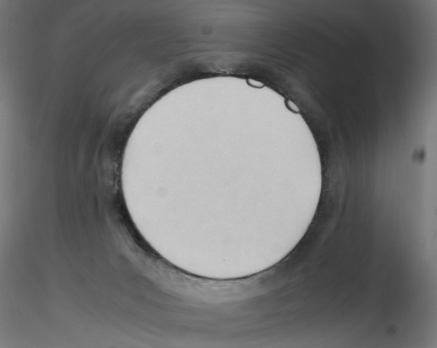 X0000116460031201001061047