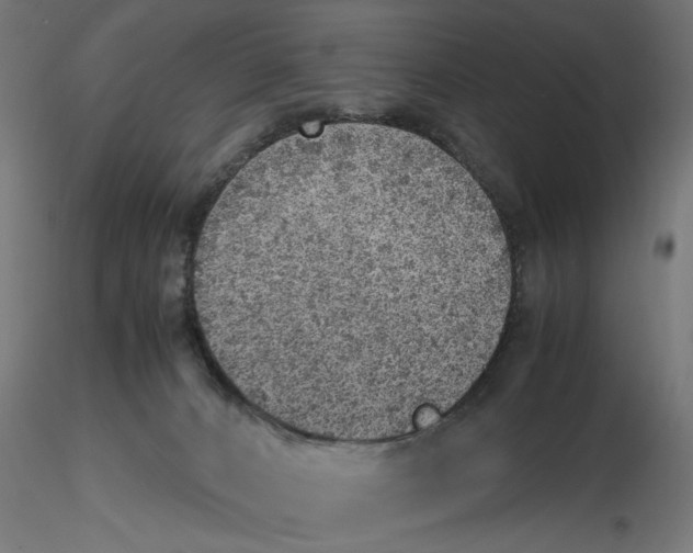 X0000116460032201001061047