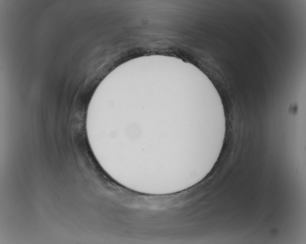X0000116460033201001061047