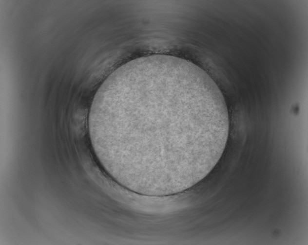 X0000116460034201001061047