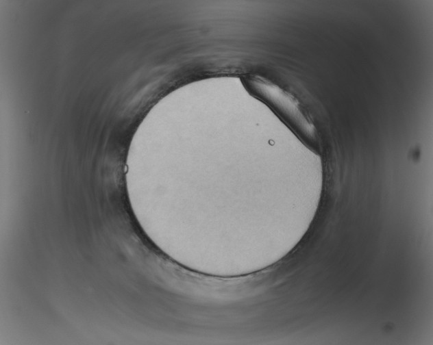 X0000116460035201001061047