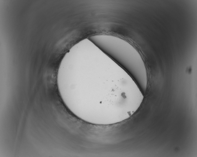 X0000116460037201001061047