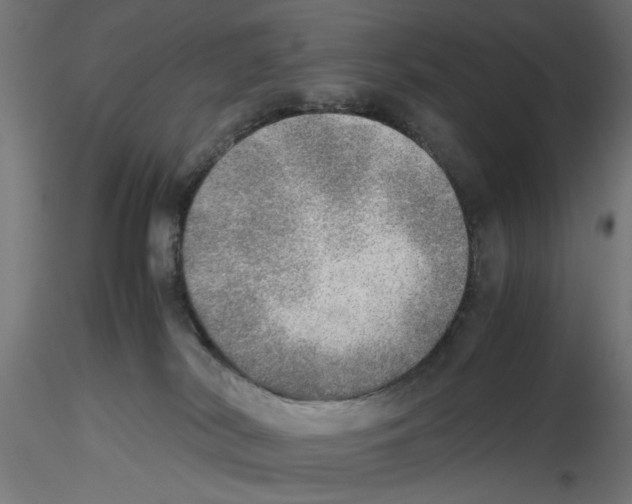 X0000116460038201001061047