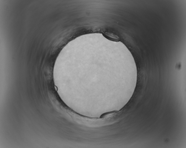 X0000116460039201001061047