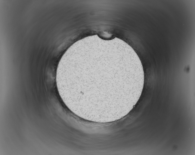 X0000116460040201001061047