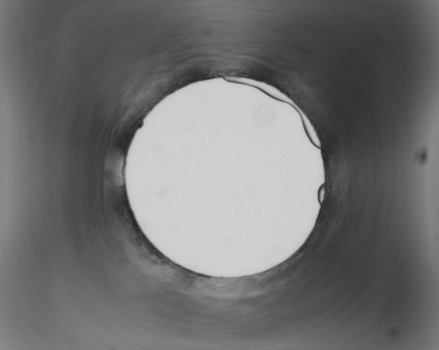 X0000116460041201001061047