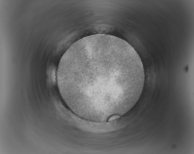X0000116460042201001061047