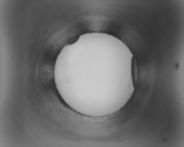 X0000116460043201001061047