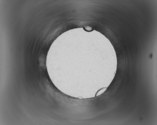 X0000116460044201001061047