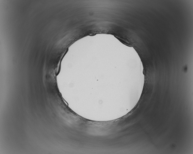 X0000116460045201001061047