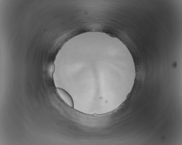 X0000116460047201001061047