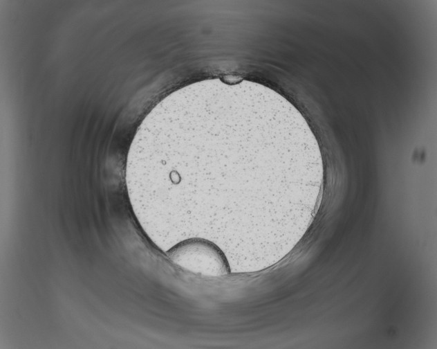 X0000116460048201001061047