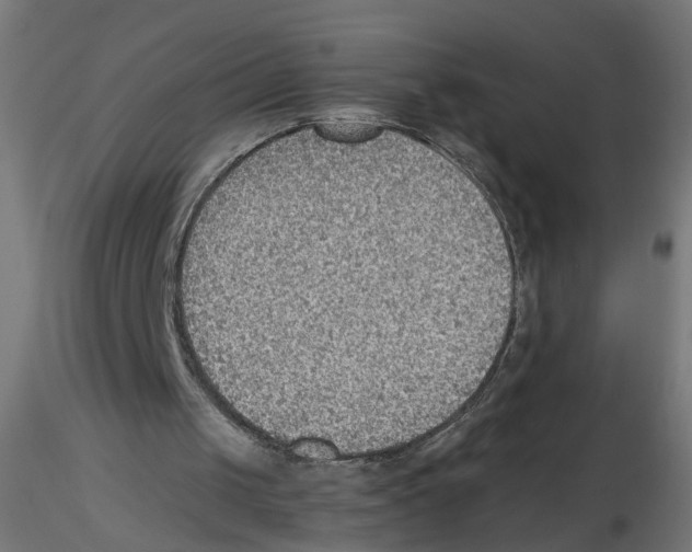 X0000116460049201001061046