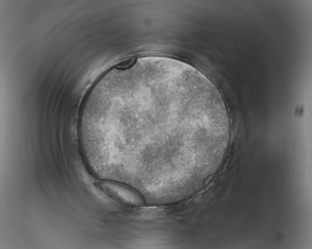 X0000116460050201001061047