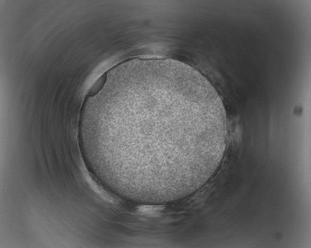 X0000116460051201001061047