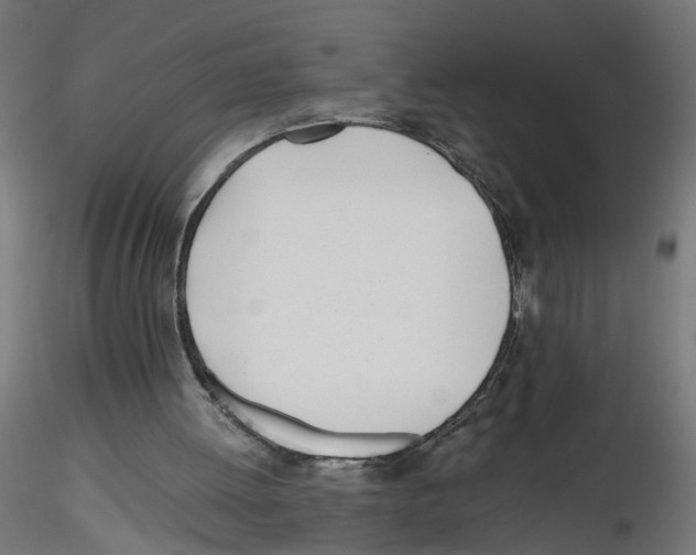 X0000116460052201001061047