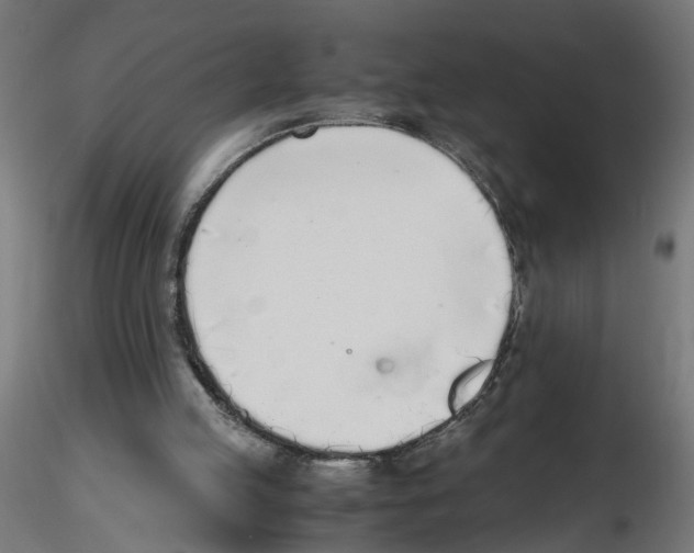 X0000116460053201001061047