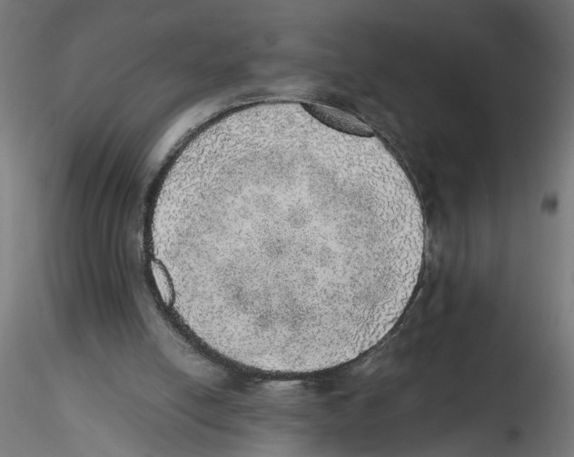 X0000116460054201001061047