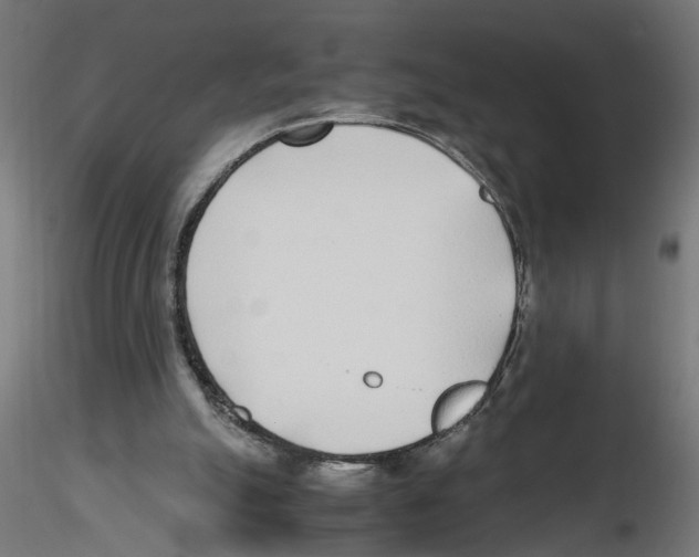 X0000116460055201001061047