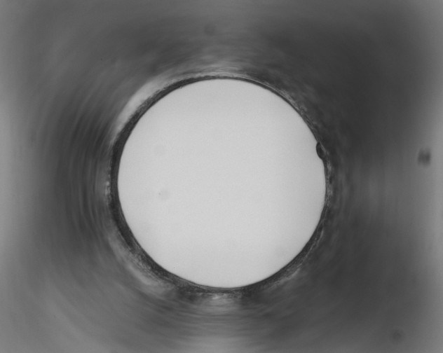 X0000116460056201001061047