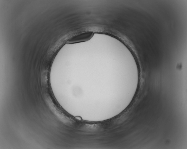X0000116460057201001061047