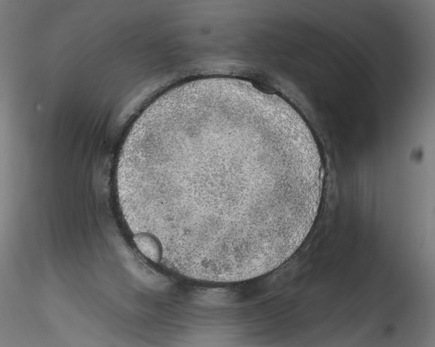 X0000116460058201001061047