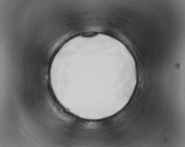 X0000116460059201001061047