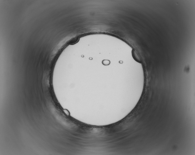 X0000116460060201001061047