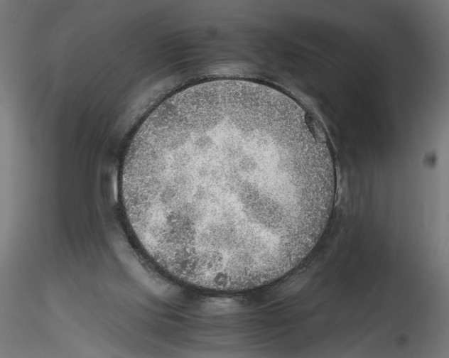 X0000116460061201001061047