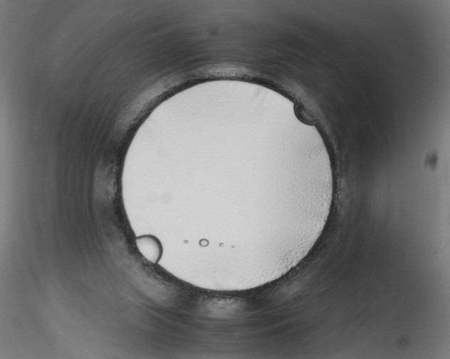 X0000116460063201001061047