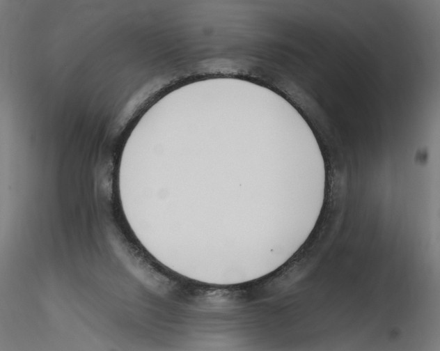 X0000116460064201001061047