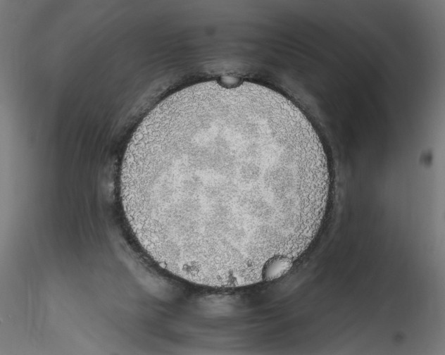 X0000116460065201001061047
