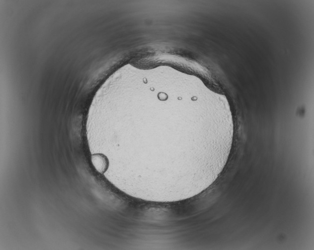 X0000116460066201001061047