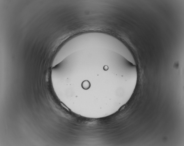 X0000116460068201001061047