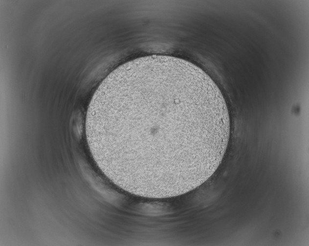 X0000116460069201001061047