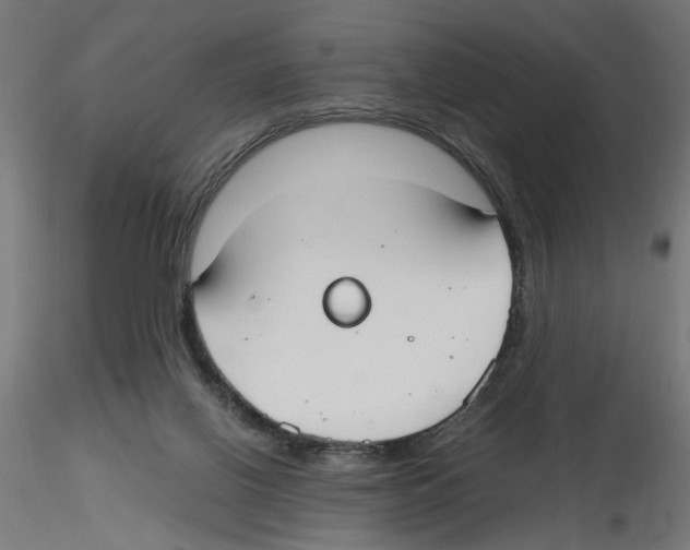 X0000116460070201001061047