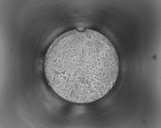 X0000116460071201001061047