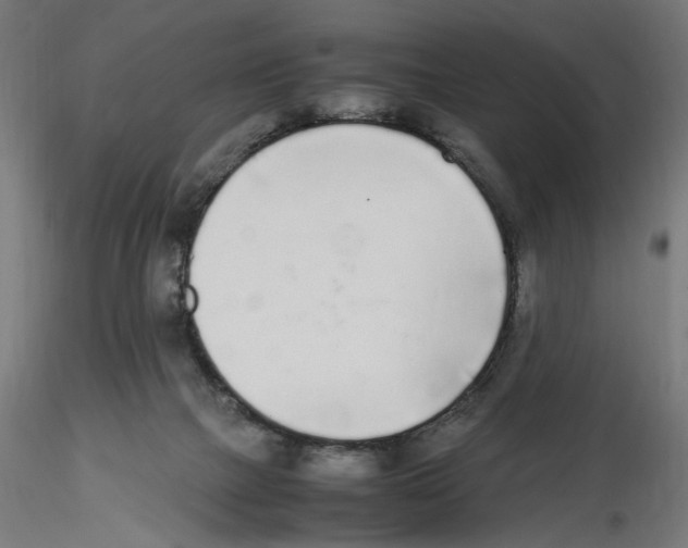 X0000116460073201001061047