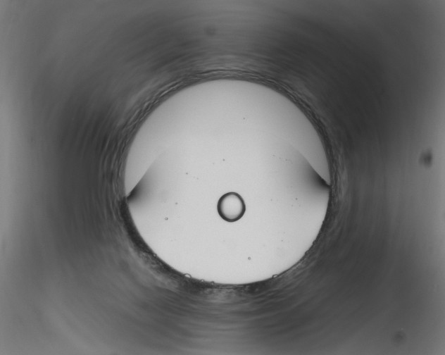 X0000116460074201001061047