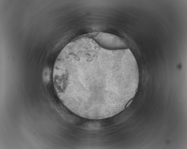 X0000116460075201001061047