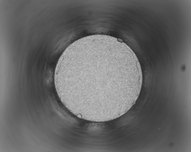 X0000116460077201001061047