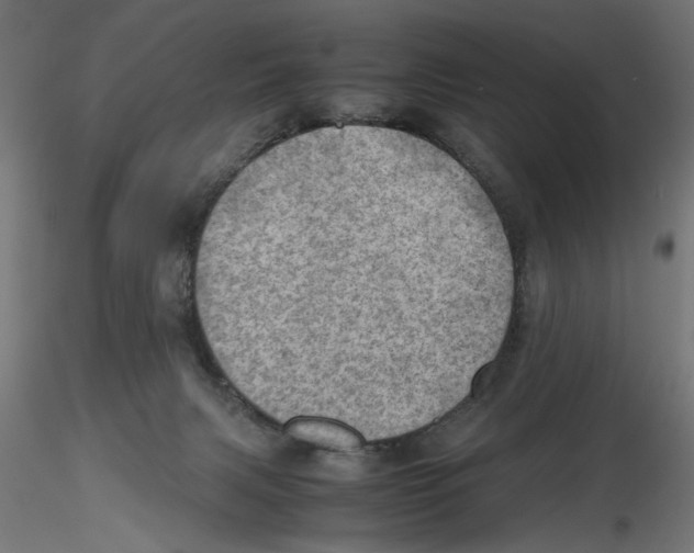 X0000116460079201001061047